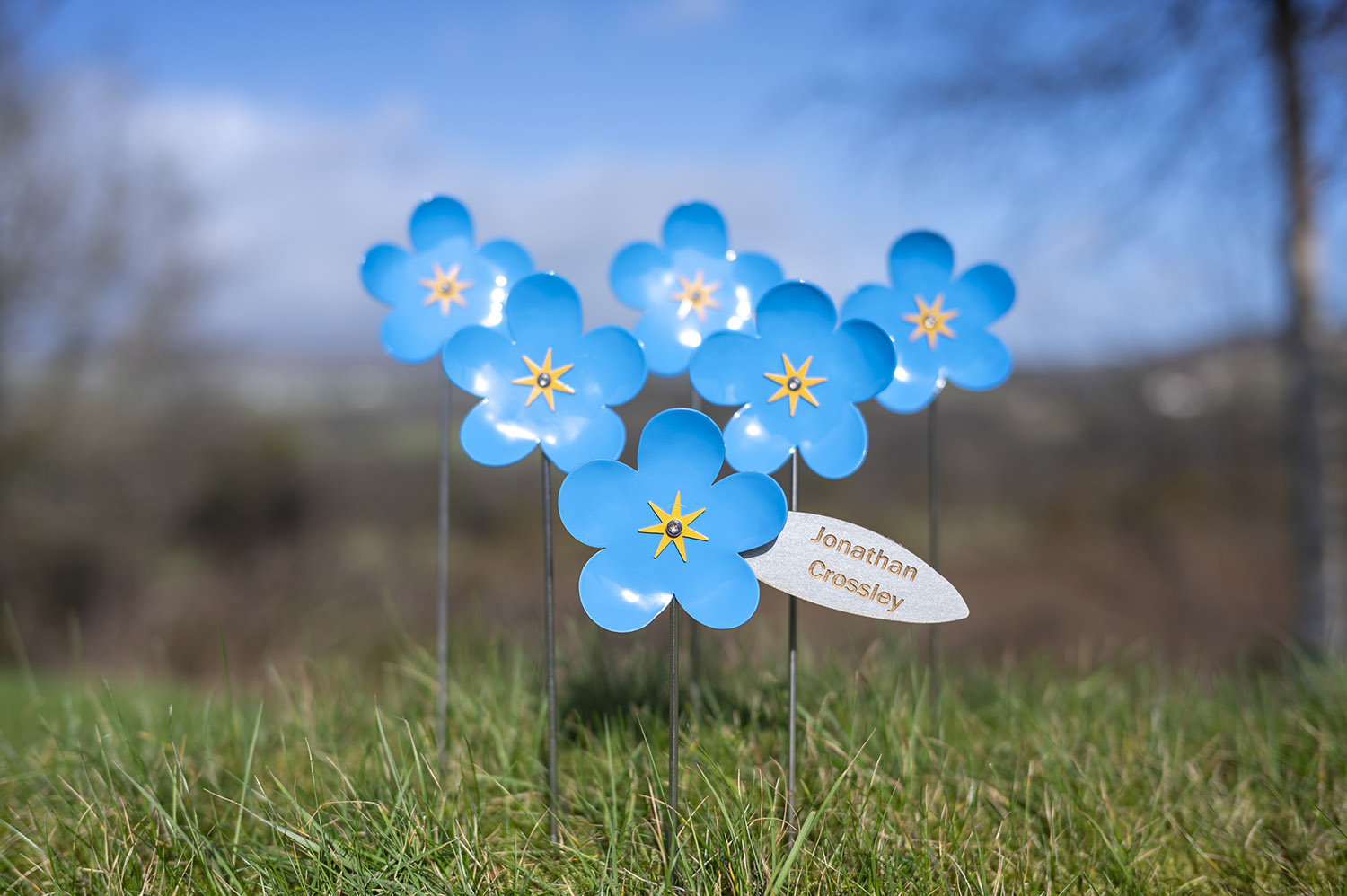 Memory Meadow Flowers